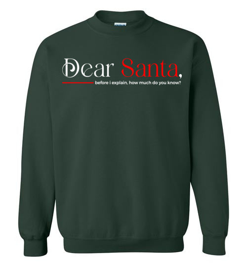 Dear Santa Unisex Graphic Crewneck